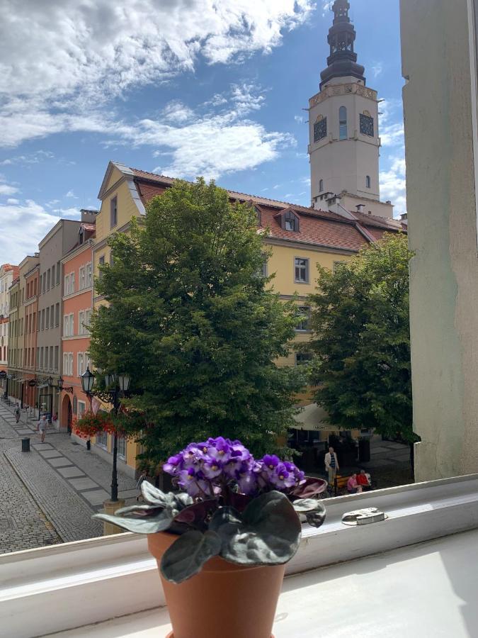 Rynekart Apartment Świdnica Exteriér fotografie